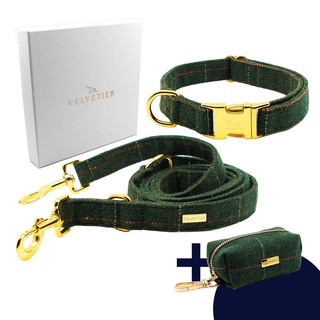 Oxford Hundehalsband Set mit Leine & Beutelspender | British Tweed Grün | verstellbar, Hundeleine 2m