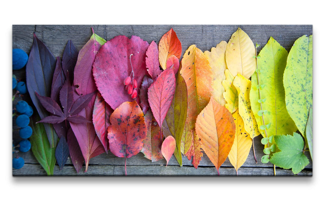 Paul Sinus Leinwandbild 120x60cm Herbstblätter Blätter Herbst Fotokunst schöne Farben Natur