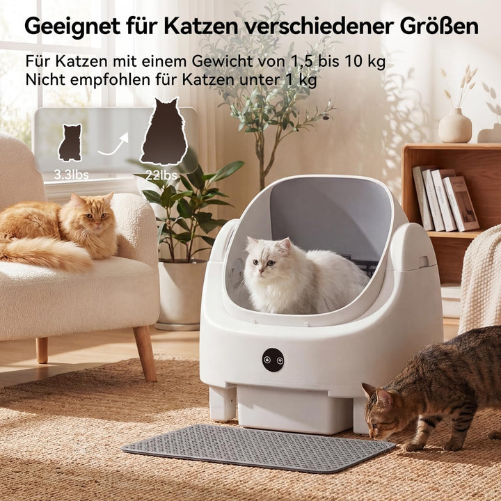 Selbstreinigende Katzentoilette, Katzenklo Selbstreinigend mit Sicherheits Geruchskontrolle, Automat