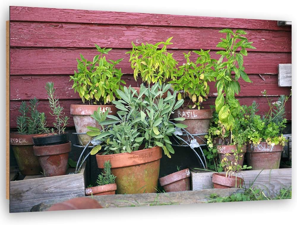 Feeby Dekobild Pflanzen Deko Wand Kunstdruck für Wohnung mehrfarbig 70x50 cm M14331 70x50 cm, M14331