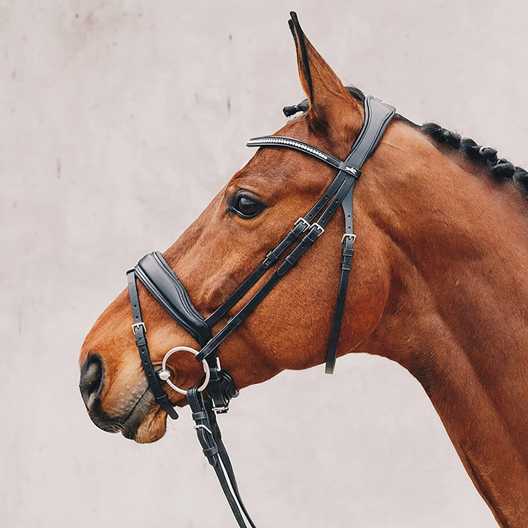 Schockemöhle Stanford Anatomic Snaffle Bridle Schwarz VB, Schwarz VB