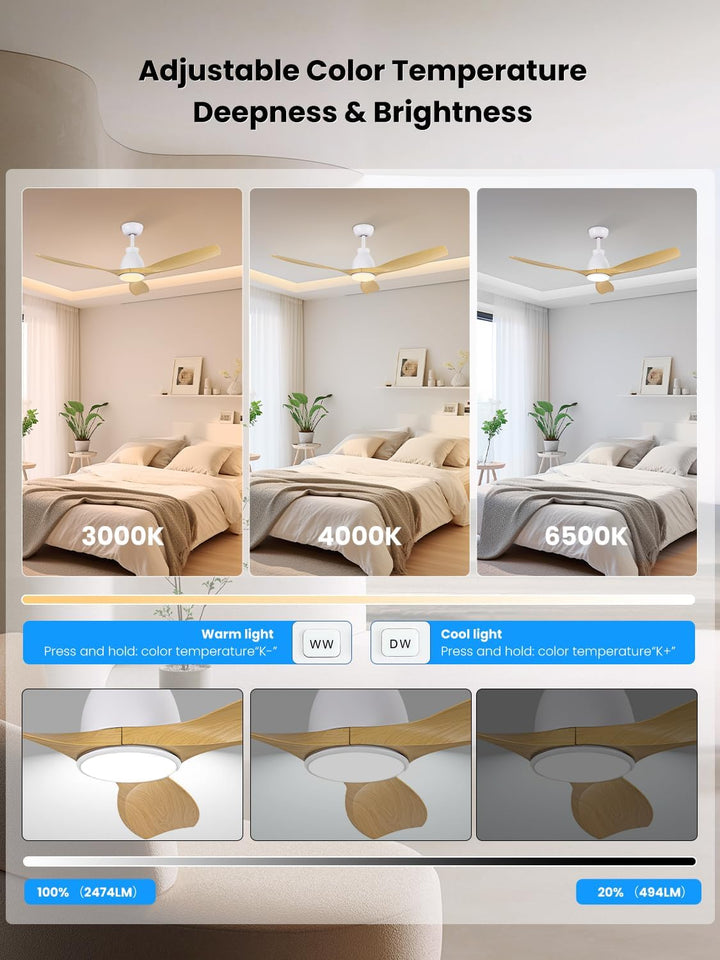 Newday DC Motor Deckenventilator mit LED Beleuchtung Fernbedienung Leise, 132cm Deckenventilator Hol
