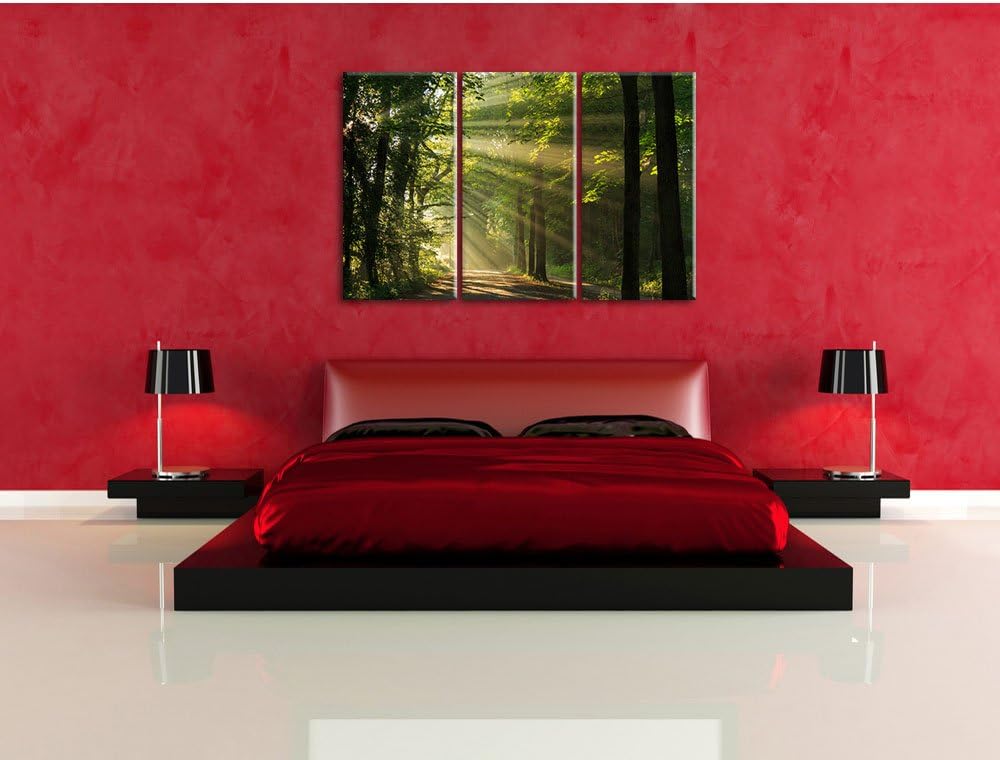 Pixxprint Waldweg im Frühling als Leinwandbild/Grösse: 3 Teilig (120x80) cm/Wandbild/Kunstdruck/fert