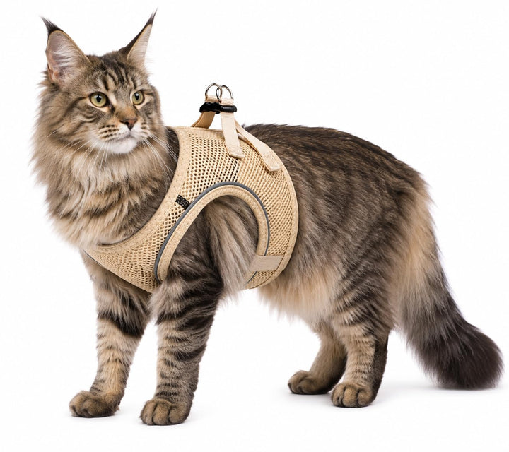 katzengeschirr - Step&amp;Go Berta beige L - 30-34 cm / 48-52 cm - Nylon mit atmungsaktivem mesh und ref