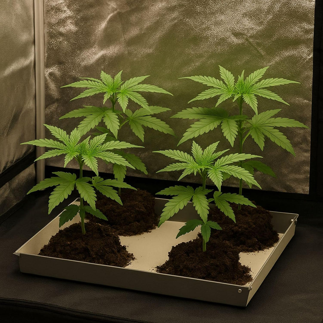 Weedness Secret Jardin Water Tray 60x60 cm für Grow-Box - Plane Folie Auffang Wanne Bewässerung Zube