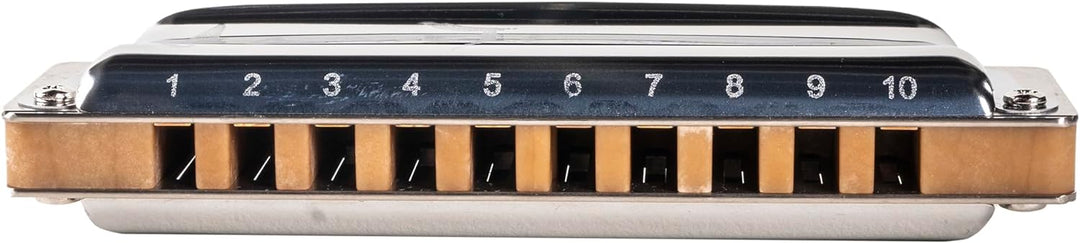 Suzuki Manji (M-20) Diatonic Harmonica in G, G
