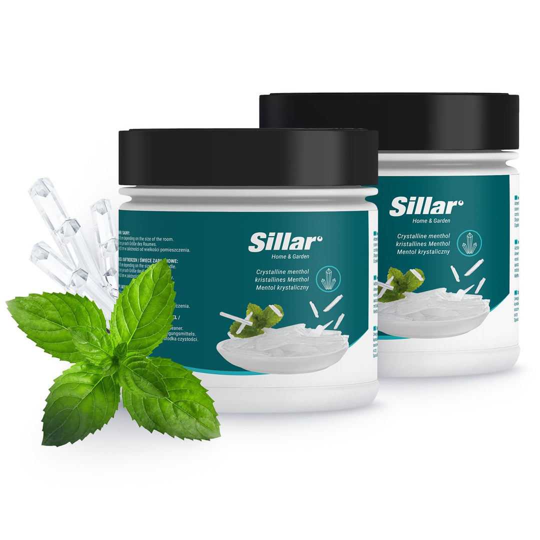 Sillar Sauna Zubehör Mentholkristalle 2x 100g – Natürliche Menthol Kristalle für Sauna und Inhalatio
