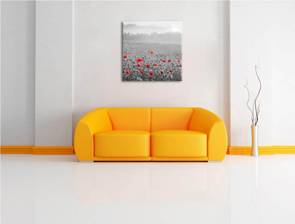 Pixxprint atemberaubend schöne Mohnwiese schwarz/weiss, Format: 70x70 auf Leinwand, 70x70