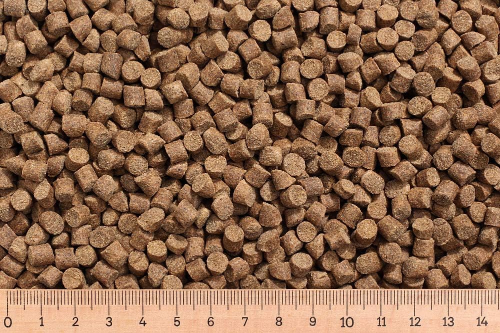 25 kg Karpfenfutter AC 6,0 mm 30/7 - sinkend - Karpfen - Karpfenpellets