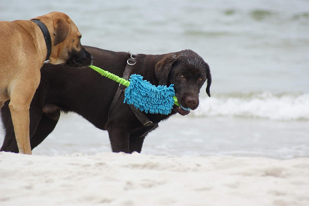 Dingo Mop mit Zwei Griff Hundespielzeug länge 60 cm Agility Apporte Motivation Spiel mit Hund Zerrsp