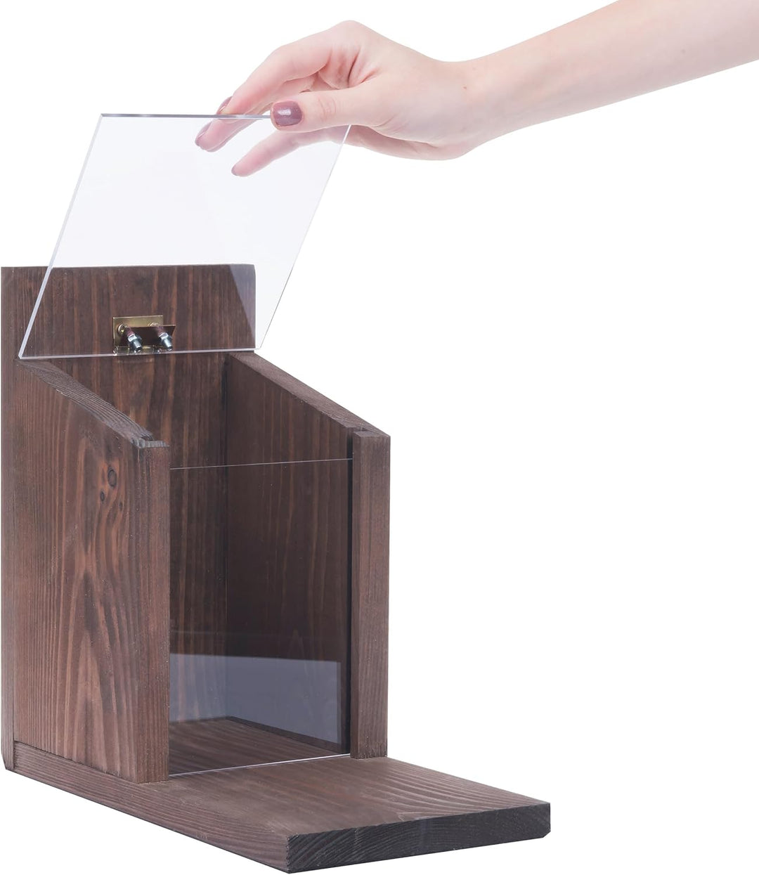 Eichhörnchen Futterhaus aus Holz – Wetterfestes Futterstation für Eichhörnchen mit Acrylglas-Dach –