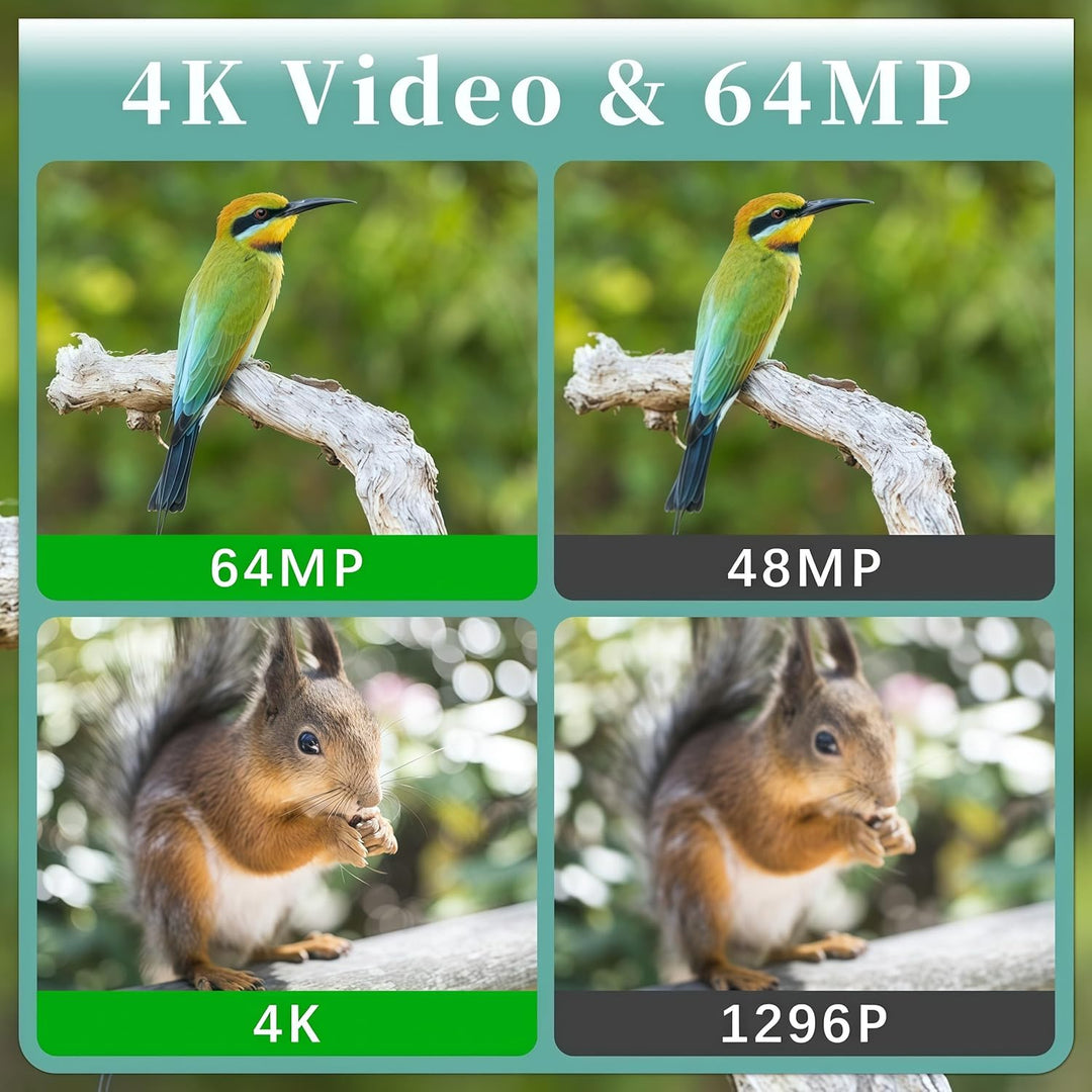 Wildkamera mit Handyübertragung App – 4K Video & 64MP Fotos – WLAN & Bluetooth – Wildtierkamera mit