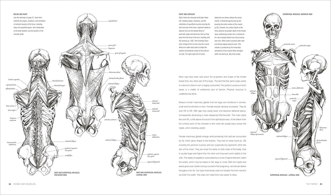 Anatomy for the Artist, Gebundenes Buch