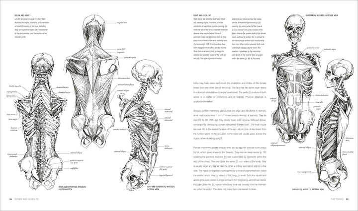 Anatomy for the Artist, Gebundenes Buch