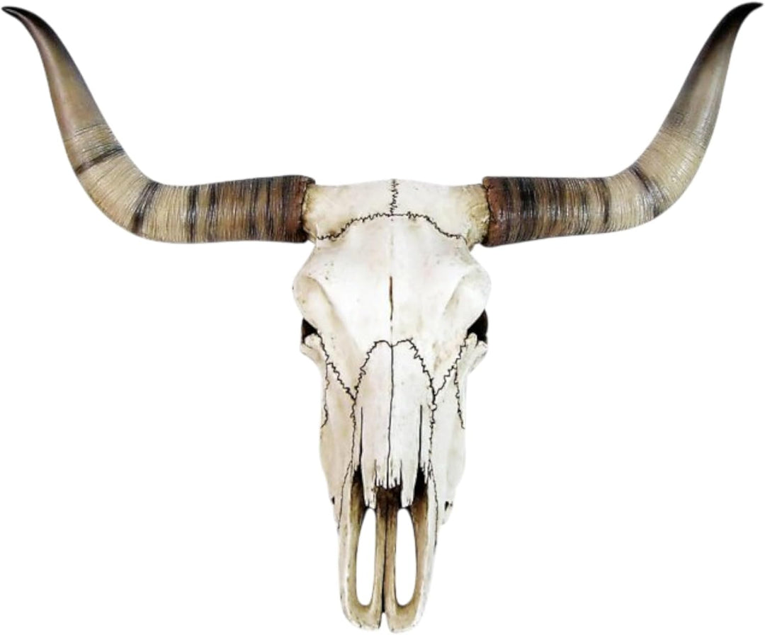 Bullenschädel Longhorn Schädel Skull Totenschädel Schädel Geweih Figur