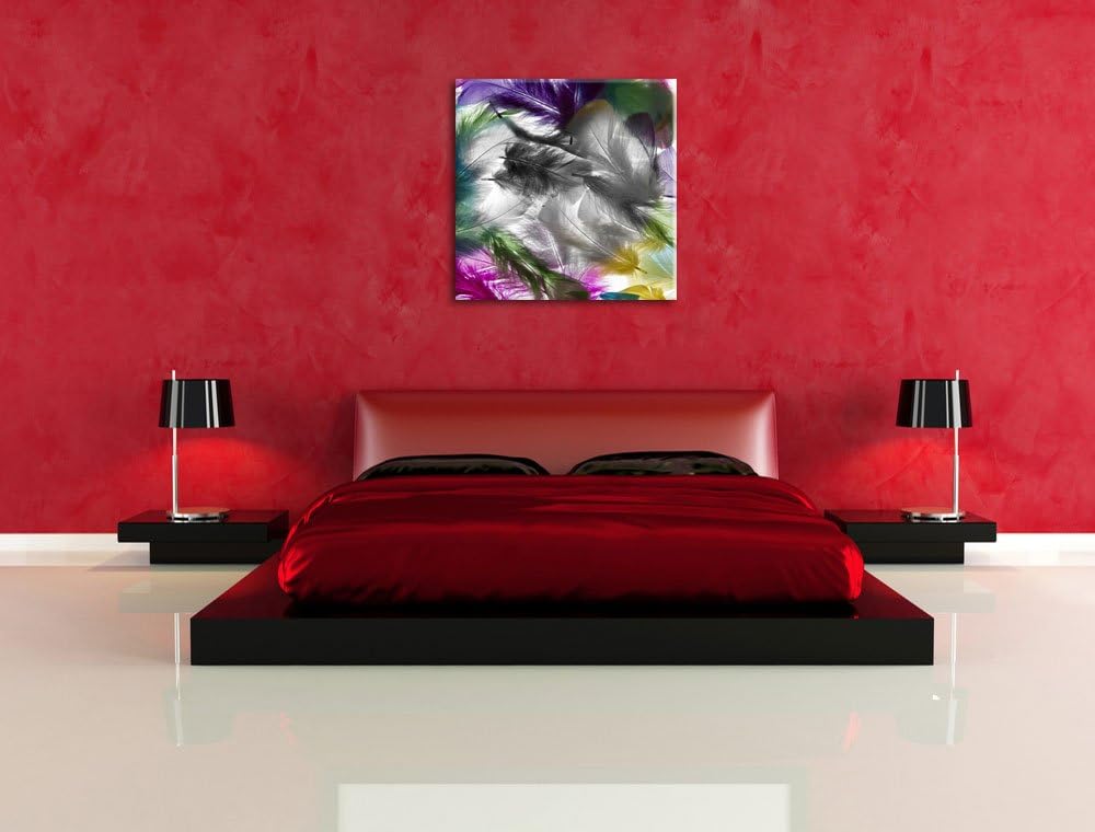 Pixxprint Anordnung von schönen bunten Federn Schwarz/Weiss, Format: 70x70 auf Leinwand, 70x70