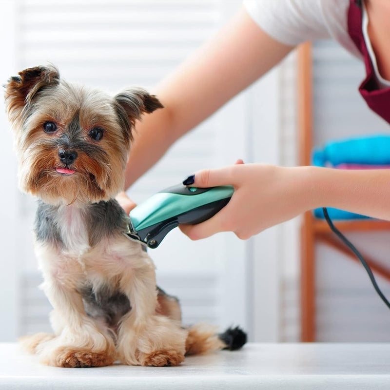 BESTBOMG Ersatzklingen für Haarschneidemaschinen zur Fellpflege bei Hunden kompatibel mit Oster Tier