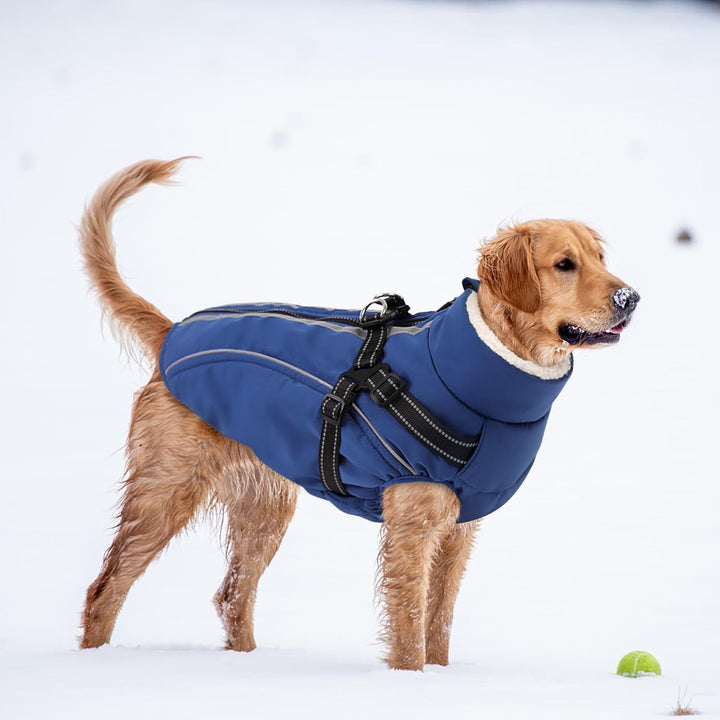 Hundemantel Hundejacke Warm Wintermantel mit Reissverschluss Winddichte & Winddichte mit Reflektorst