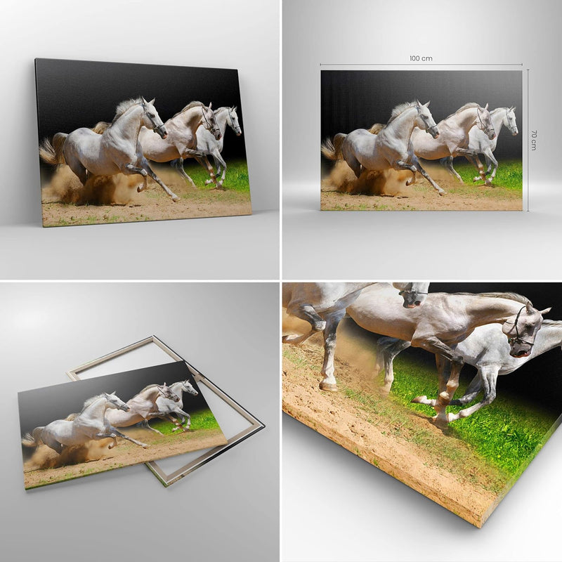 Bilder auf Leinwand 100x70cm Leinwandbild mit Rahmen Pferde Sand Gras Gross Wanddeko Bild Schlafzimm