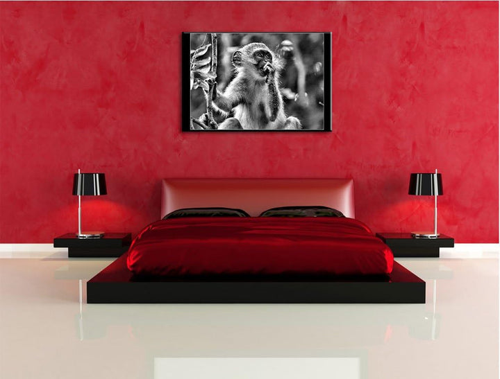 Pixxprint junges Äffchen auf Baum / 100x70cm Leinwandbild bespannt auf Holzrahmen/Wandbild Kunstdruc