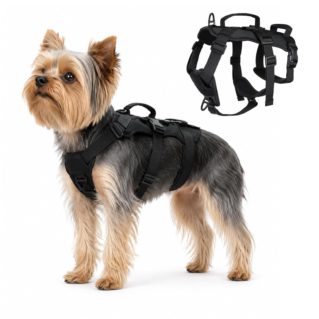 Anti-Zug Hundegeschirr, Schwarz, S | Verstellbare Passform für Kleine und Mittelgrosse Hunde, Weiche