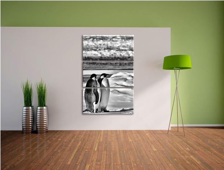 Pixxprint Monocrome, Zwei Kaiserpinguine auf Eisscholle 3-Teiler Leinwandbild 120x80 Bild auf Leinwa