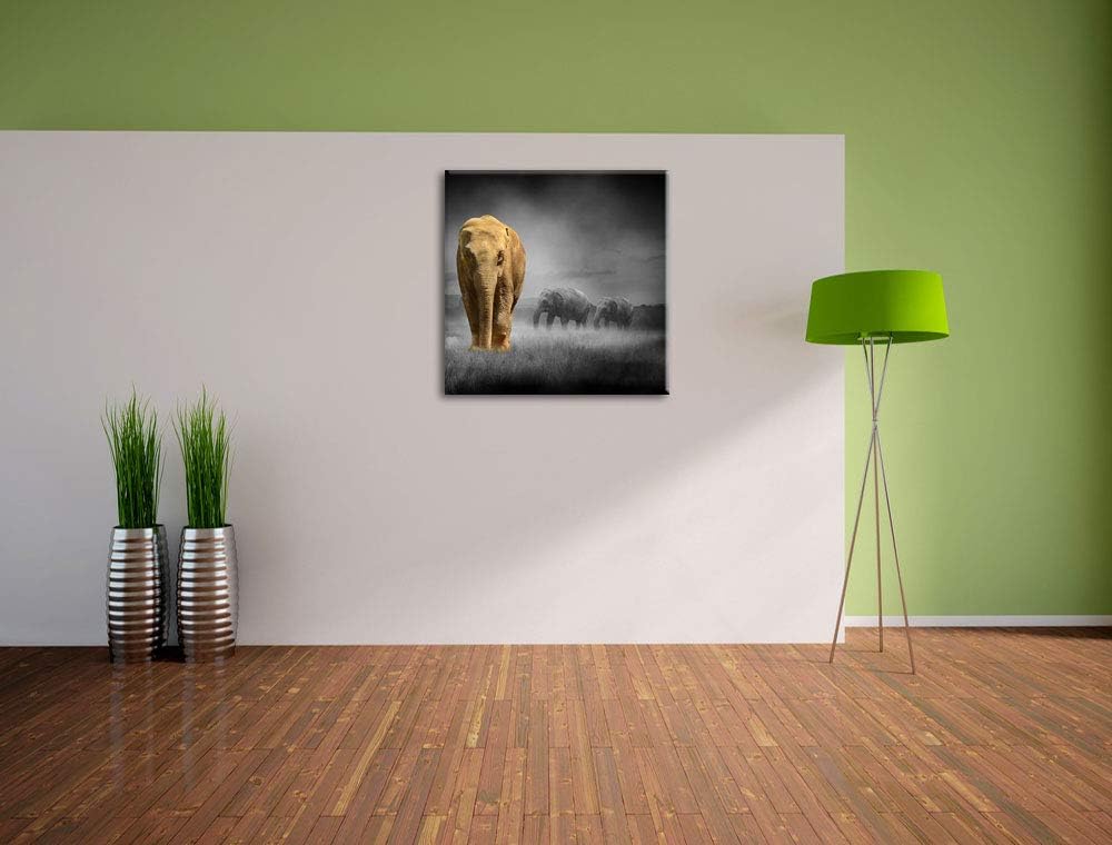 Pixxprint Elefanten in Steppe schwarz/weiss, Format: 70x70 auf Leinwand, 70x70