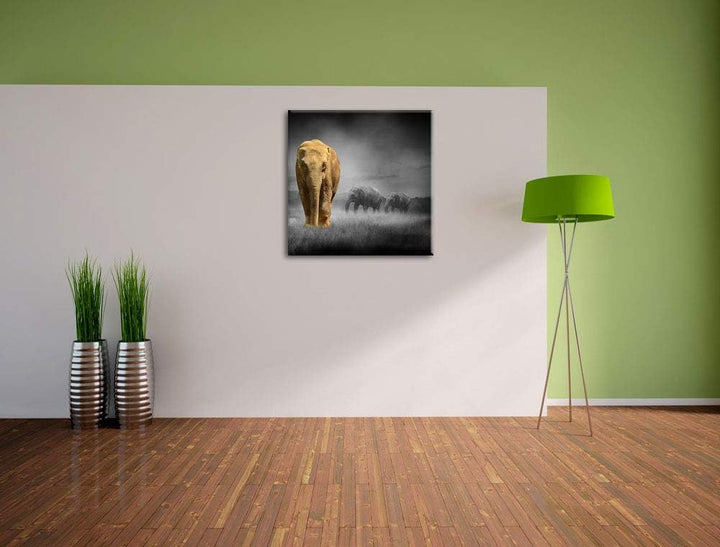 Pixxprint Elefanten in Steppe schwarz/weiss, Format: 70x70 auf Leinwand, 70x70