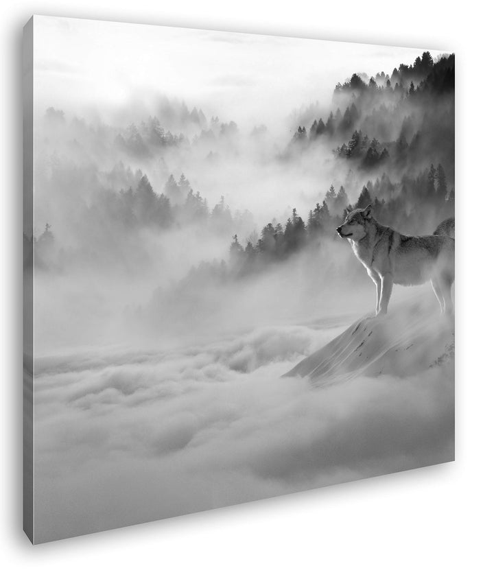 deyoli Wolf in Einer malerischen Schneelandschaft Format: 70x70 Effekt: Schwarz&Weiss als Leinwandbi