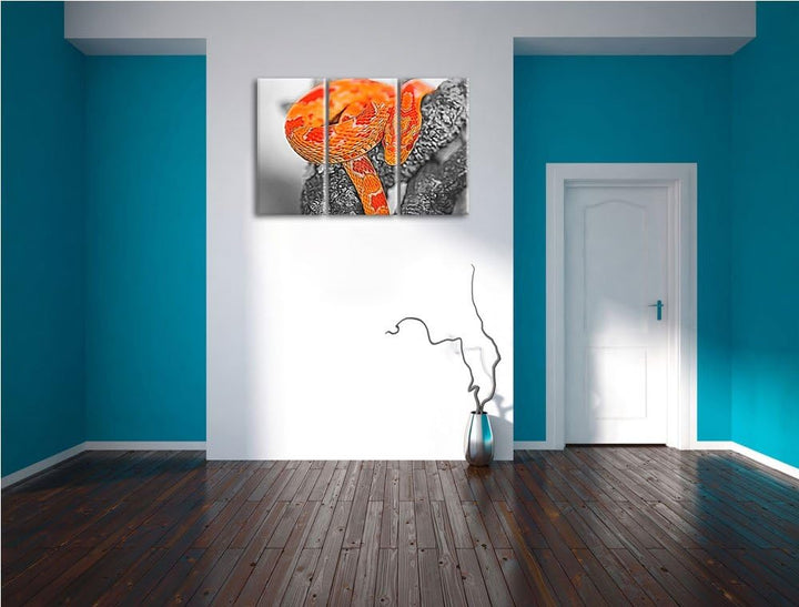 schöne ruhende Kornnatter schwarz/weiss Deluxe 3-Teiler Leinwandbild 120x80 Bild auf Leinwand, XXL r