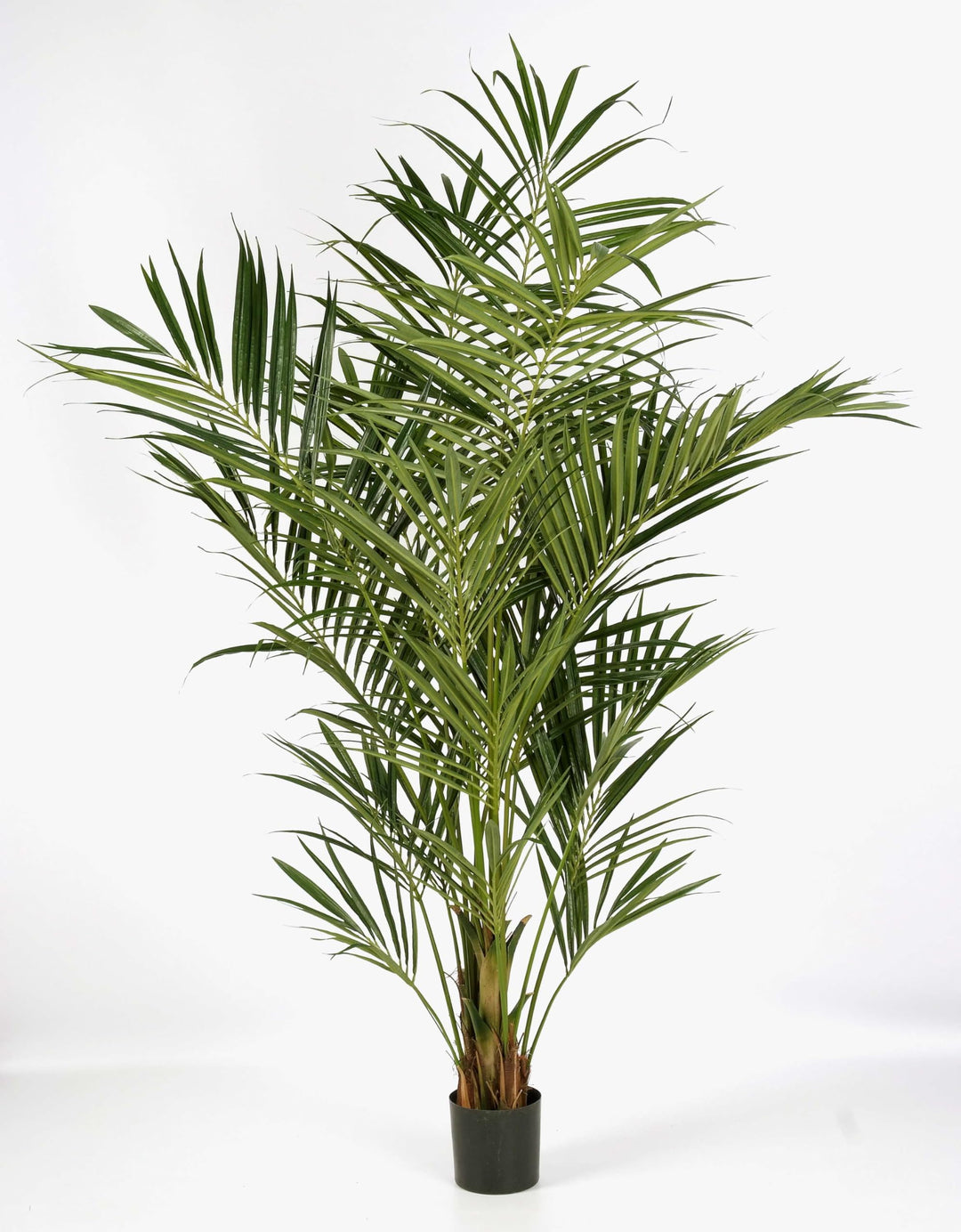 artplants.de Künstliche Kentia Palme Natural, 192 Blätter, 200cm - hochwertige Dekopalme - Kunstpalm