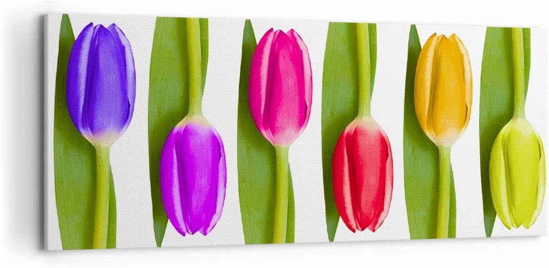 Wandbilder Dekoration Wohnzimmer Tulpe Blume Garten Komposition Panorama Bilder auf Leinwand 120x50c