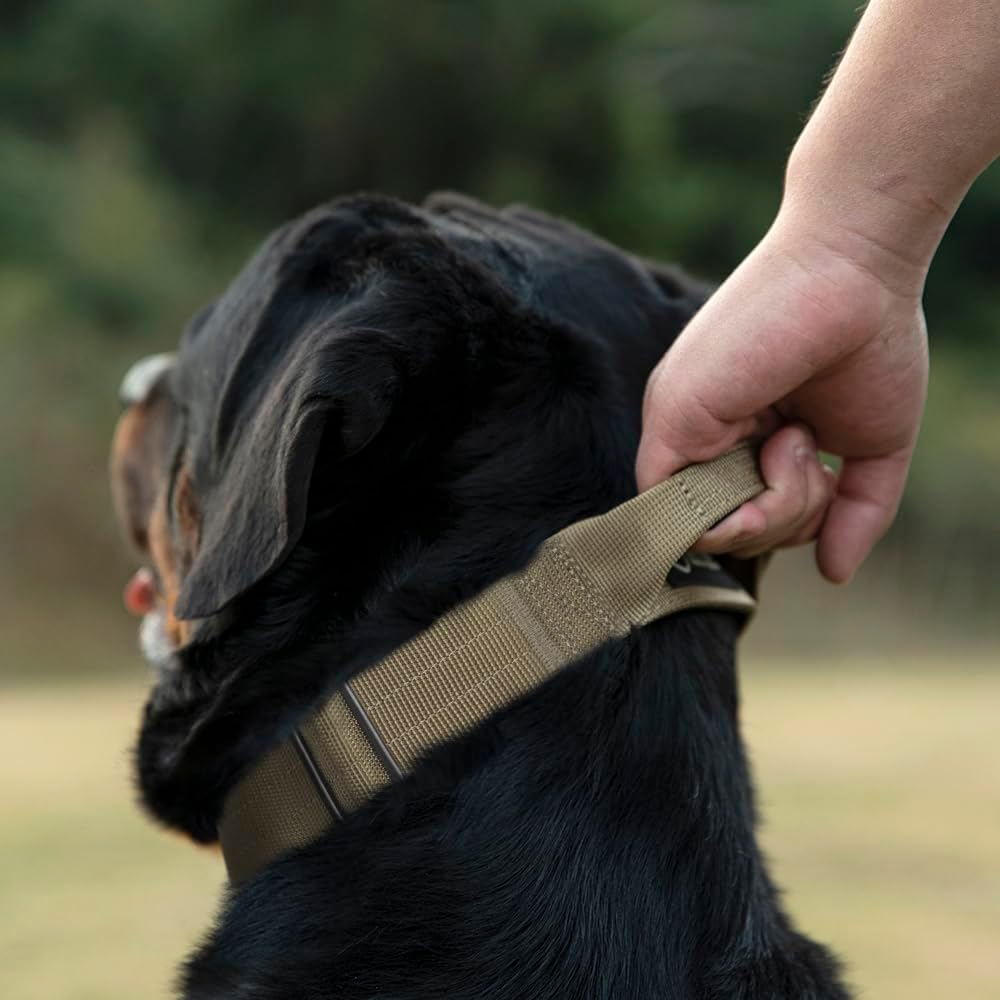 TSPRO Premium Hundehalsband mit Griff Dickes Verstellbares Hundehalsband Schwere Ausführung Schnellv