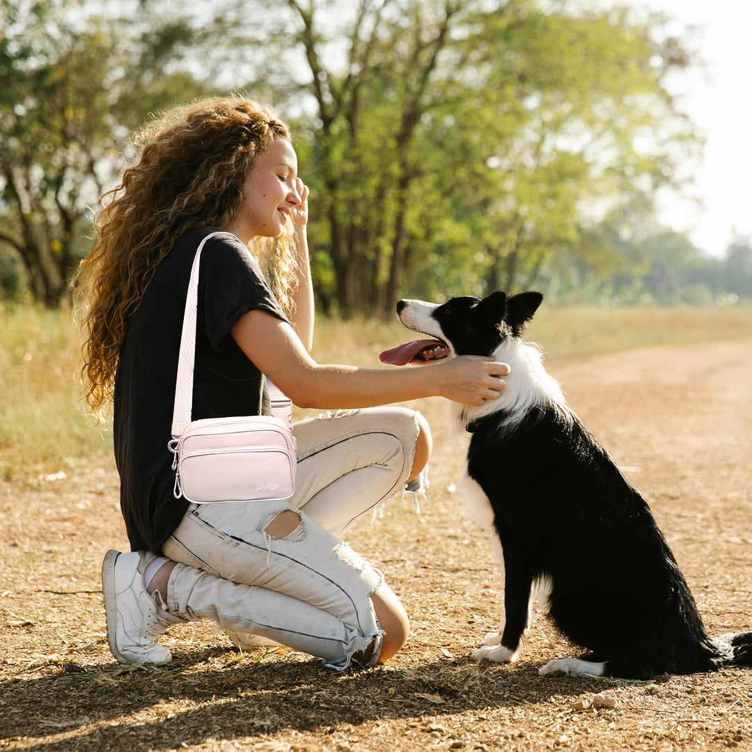 Leckerli-Tasche für Hundetraining, Hüftgurt, Umhängetasche mit Kotbeutel, Leckerli-Tasche für Welpen
