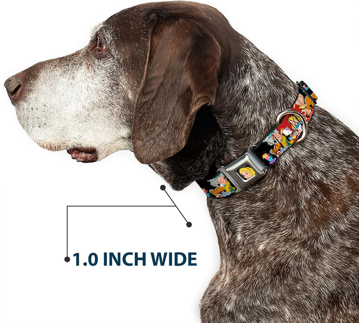 Buckle-Down Seatbelt Buckle Dog Collar - Alice's Encounters in Wonderland - 1" Wide - Fits 9-15" Nec