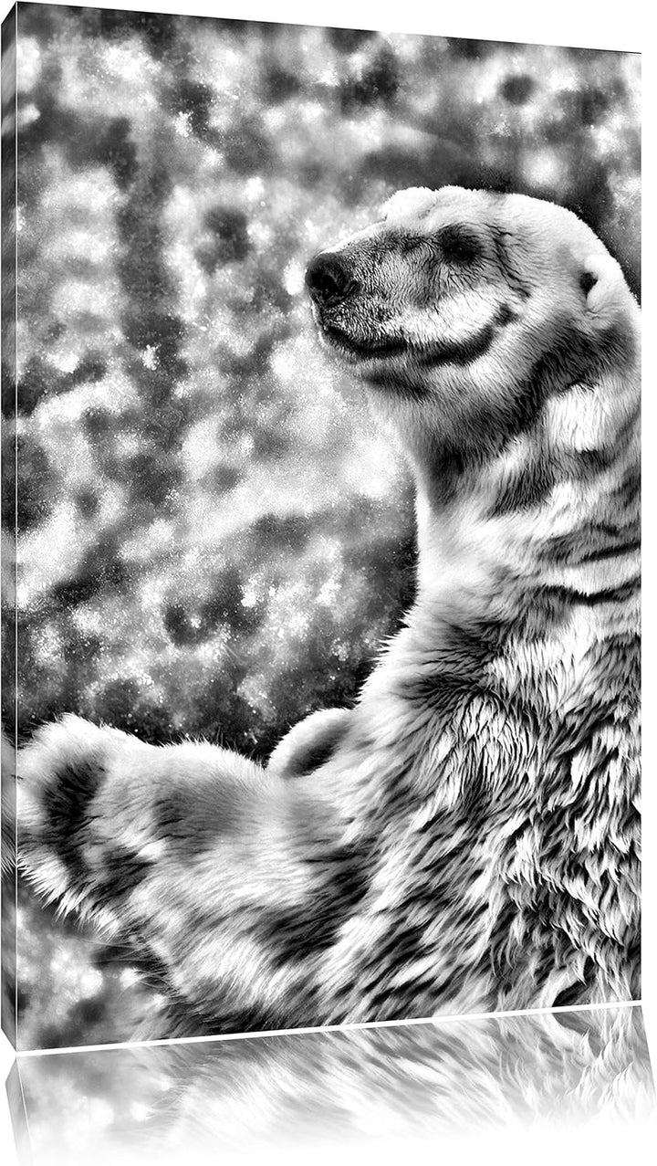 Pixxprint Monocrome, Stehender Eisbär, Format: 100x70 auf Leinwand, 100x70