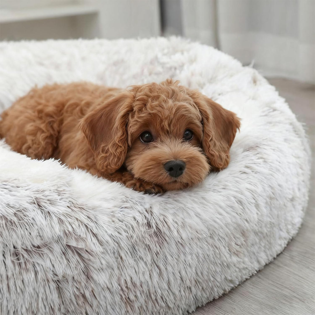 Flauschig Hundebett Muschelform Katzenbett Warm Tierbett Haustierbett Waschbar Hundesofa Katzensofa