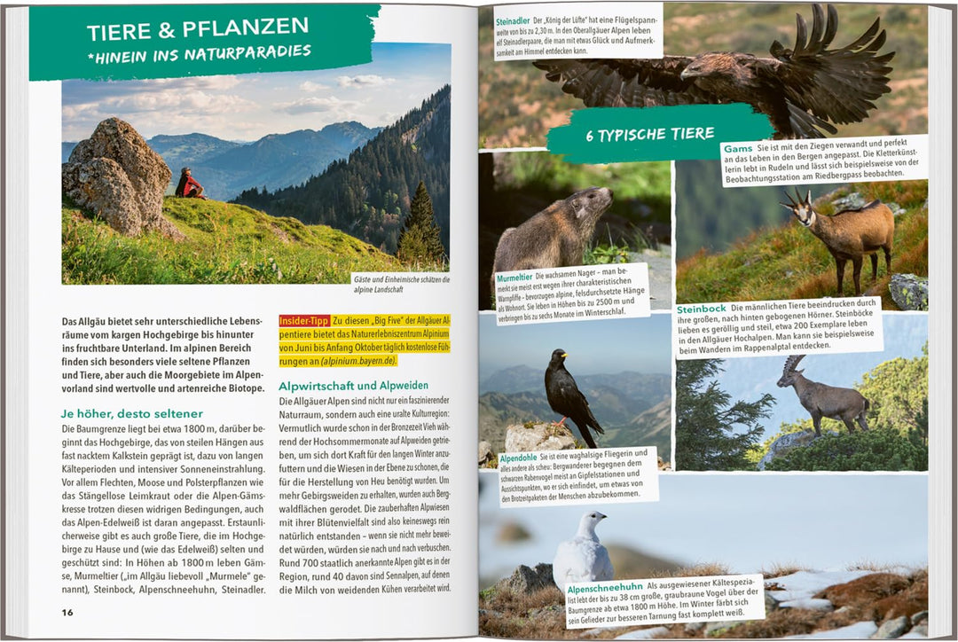 MARCO POLO OUTDOOR GUIDE Reiseführer Allgäu: Mit rund 150 Outdoor-Erlebnissen für alle, die am liebs
