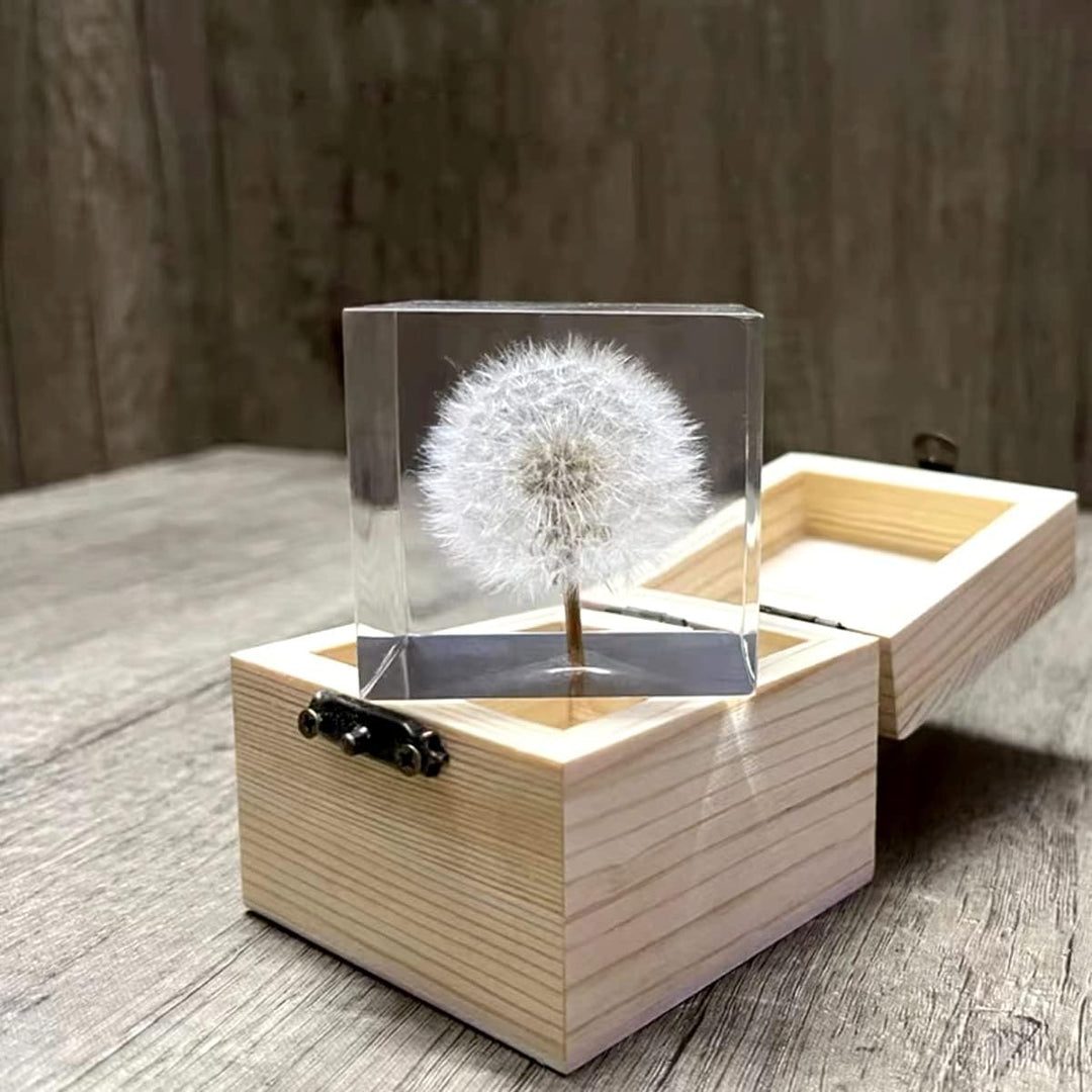 DESHINTKE Briefbeschwerer mit Pusteblume in Würfelform, mit Holzbox, 5,1 cm, transparent, echte Löwe