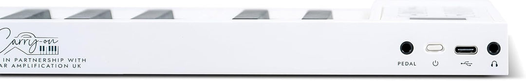 Blackstar FP-49 Touch 49 Tasten, berührungsempfindlich, tragbar, faltbar, mit USB-MIDI-Controller, m