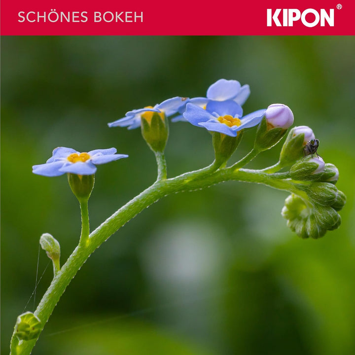 Kipon Iberit 50/2,4 Vollformat Fuji X