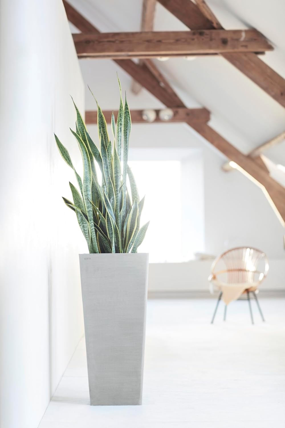 ECOPOTS Blumentopf Rotterdam Weiss Grau - 32 x 32 cm, 70 cm extra hoch - quadratisch gross - Pflanze