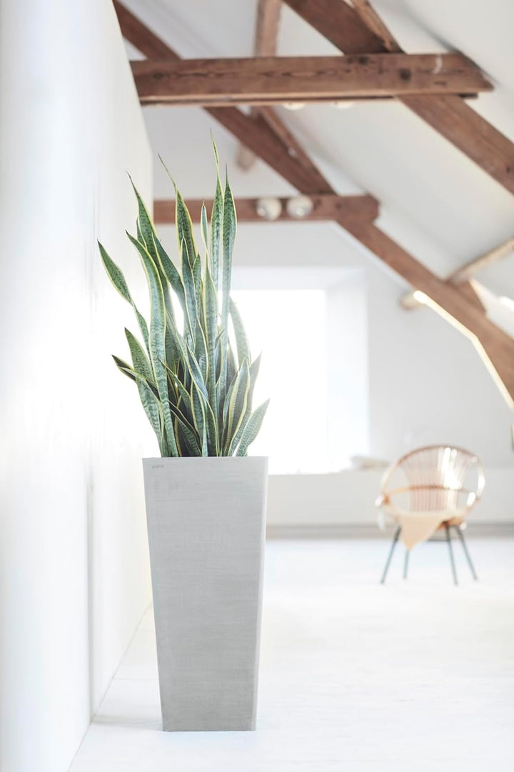 ECOPOTS Blumentopf Rotterdam Weiss Grau - 32 x 32 cm, 70 cm extra hoch - quadratisch gross - Pflanze