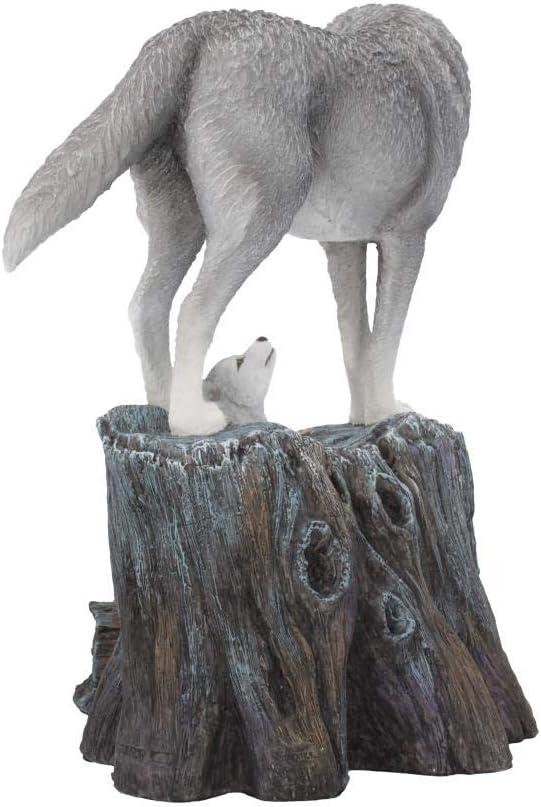 Nemesis Now B4334M8 Guidance Lisa Parker Figur, Kunstharz, Grau