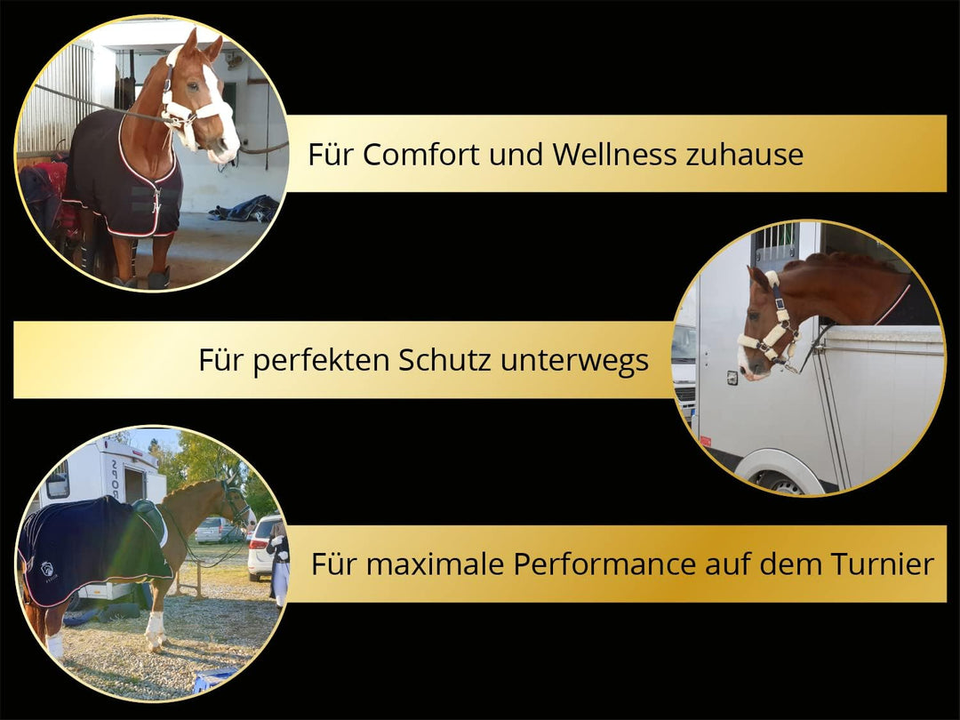 EQUILYX® Abschwitzdecke Pferd mit Teddy-Kragen und abnehmbaren Kreuzgurten [perfekte Passform] Fleec