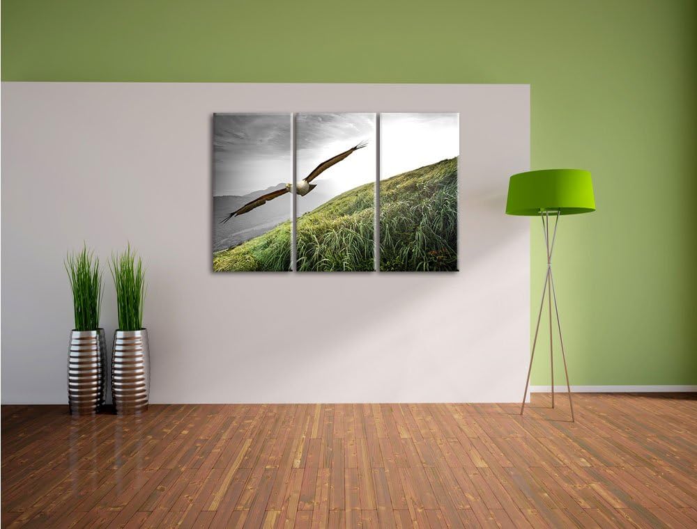 Pixxprint Majestätischer Weisskopfseeadler Schwarz/Weiss 3-Teiler Leinwandbild 120x80 Bild auf Leinw