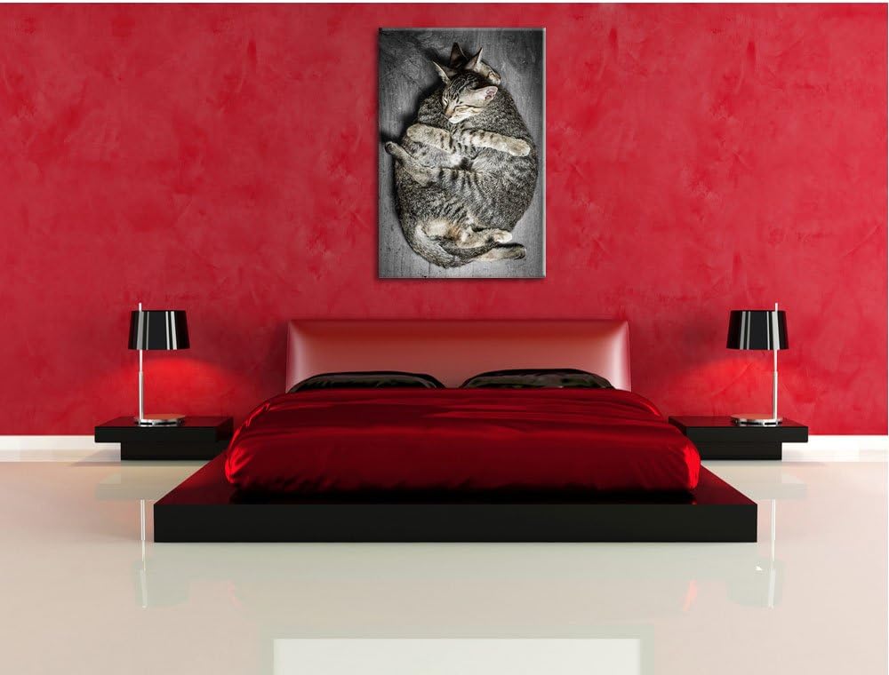 Pixxprint Kuschelnde Katzen als Leinwandbild/Grösse: 100x70 / Wandbild/Kunstdruck/fertig bespannt, 1
