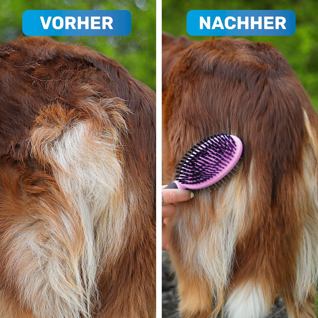 BluePet 2in1 Hundebürste für Langhaar & Kurzhaar Auch für Welpen & Katzen I Glätten, Entwirren, Ausb