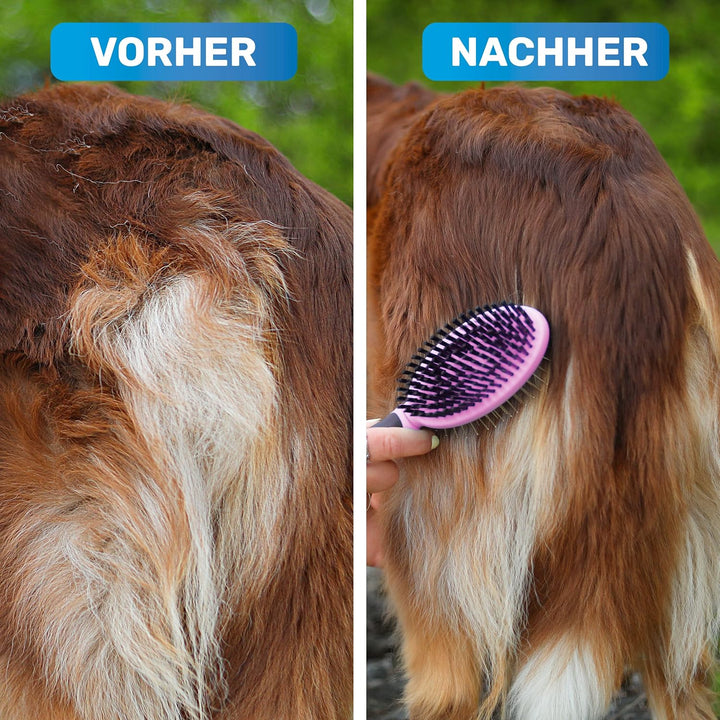 BluePet 2in1 Hundebürste für Langhaar & Kurzhaar Auch für Welpen & Katzen I Glätten, Entwirren, Ausb