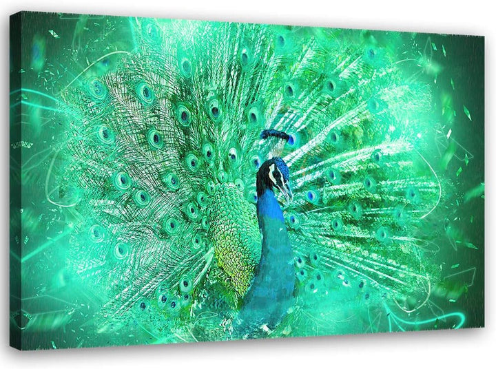 Feeby Wandbild Pfau Druckbild Leinwandbild abstrakt Grün 70x50 cm M14232 70x50 cm, M14232 70x50 cm